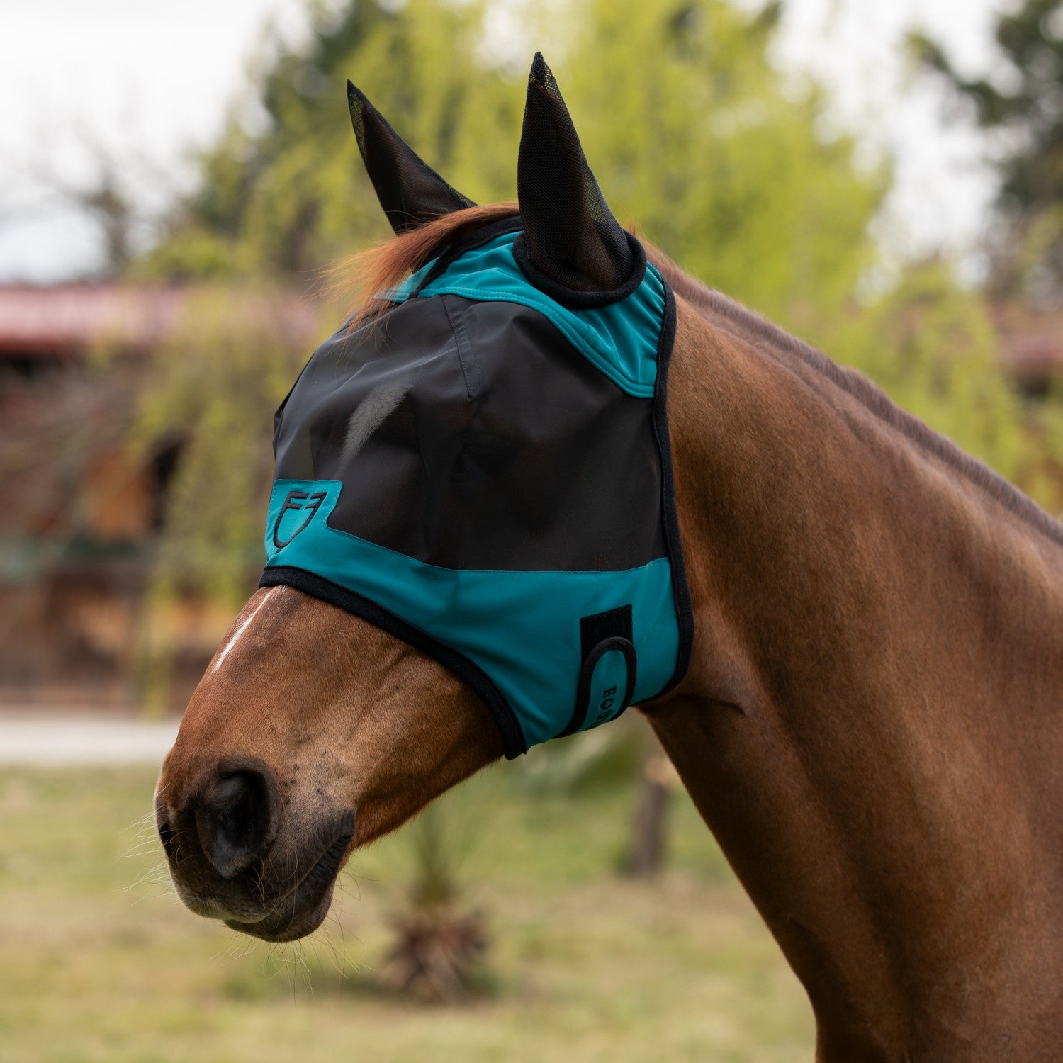 Equestro Fly mask with front logo