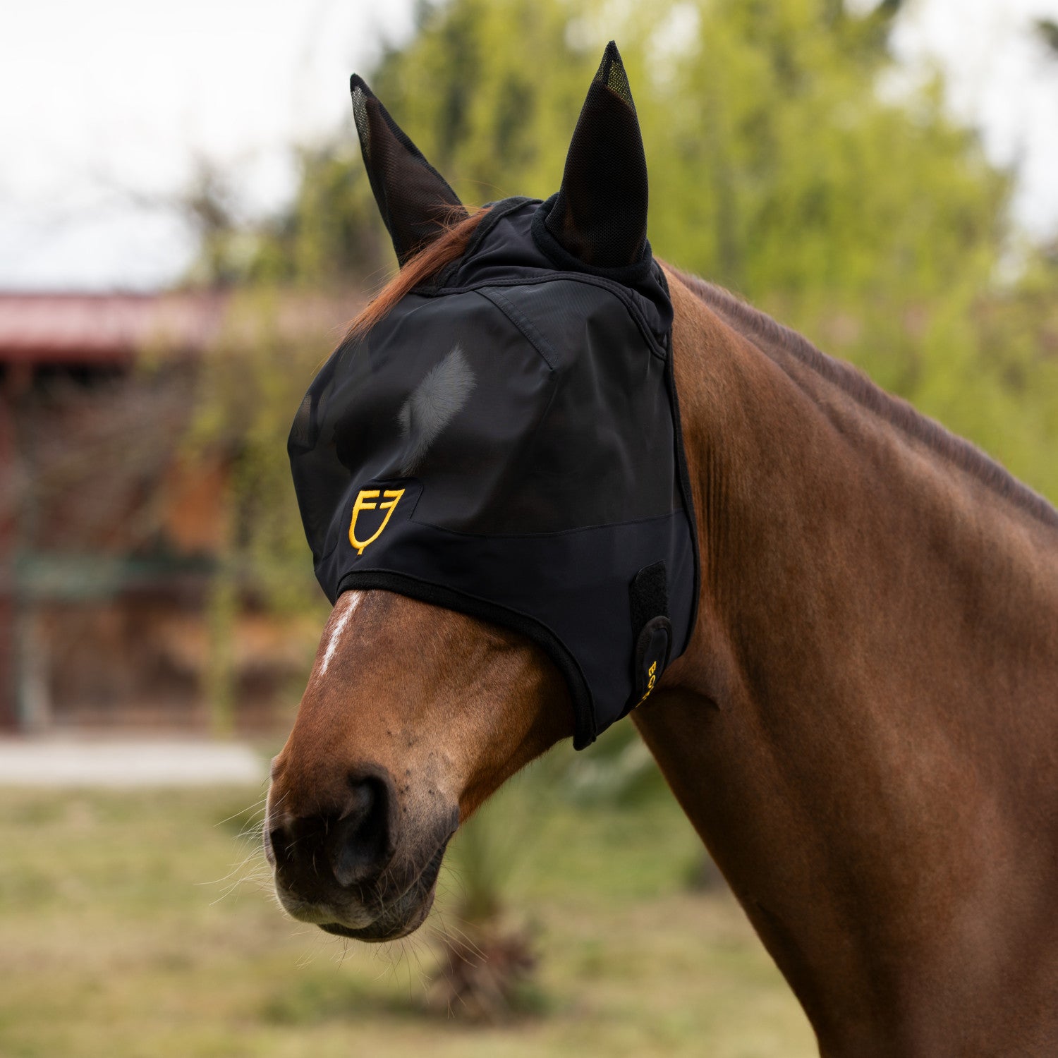 Equestro Fly mask with front logo