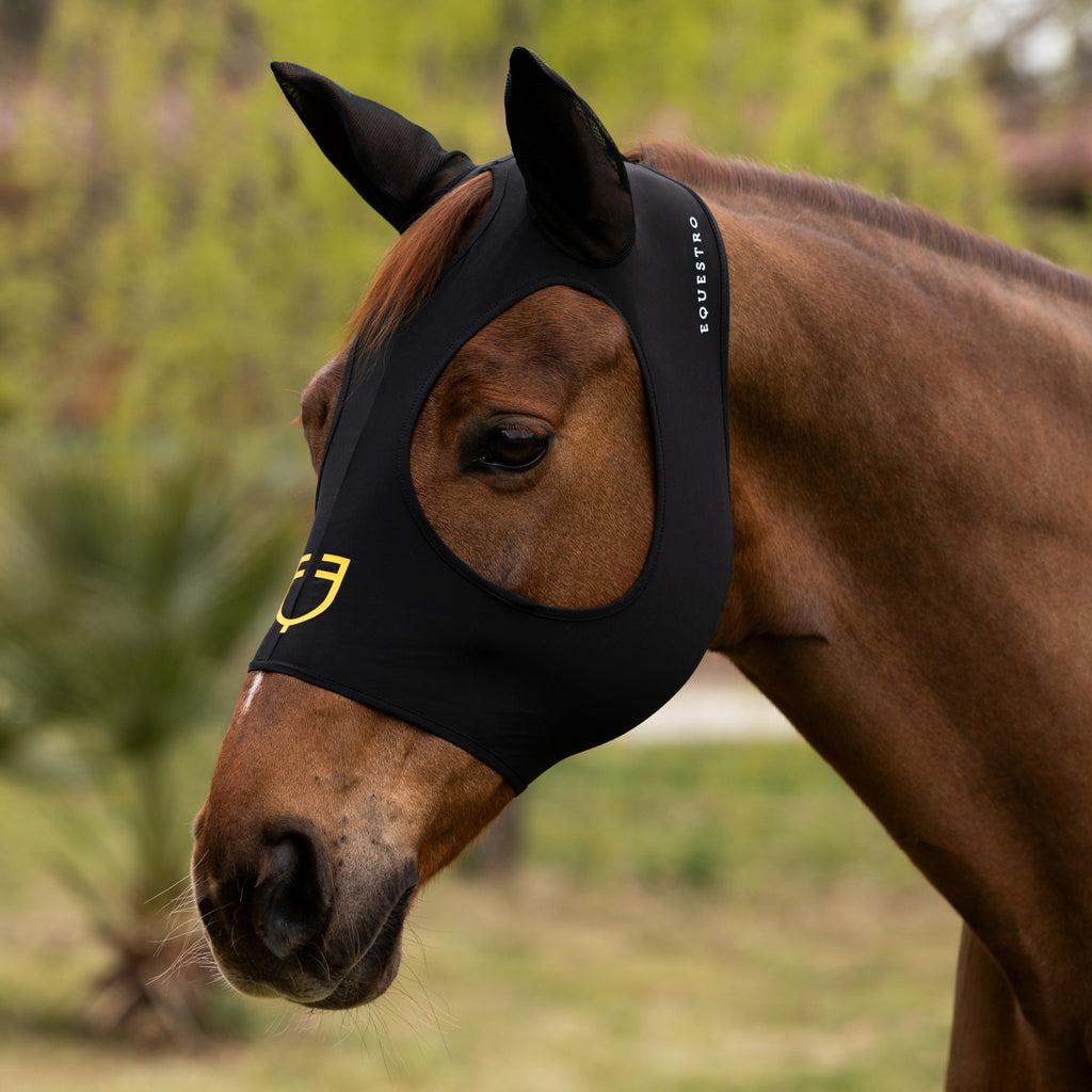 Elastane fly mask without eye net