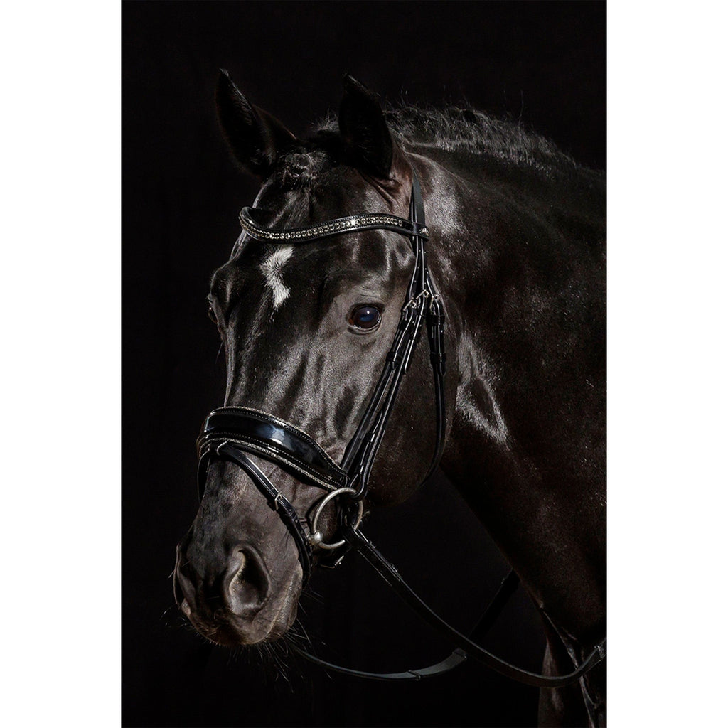 Schockemohle Stanford Glam Bridle