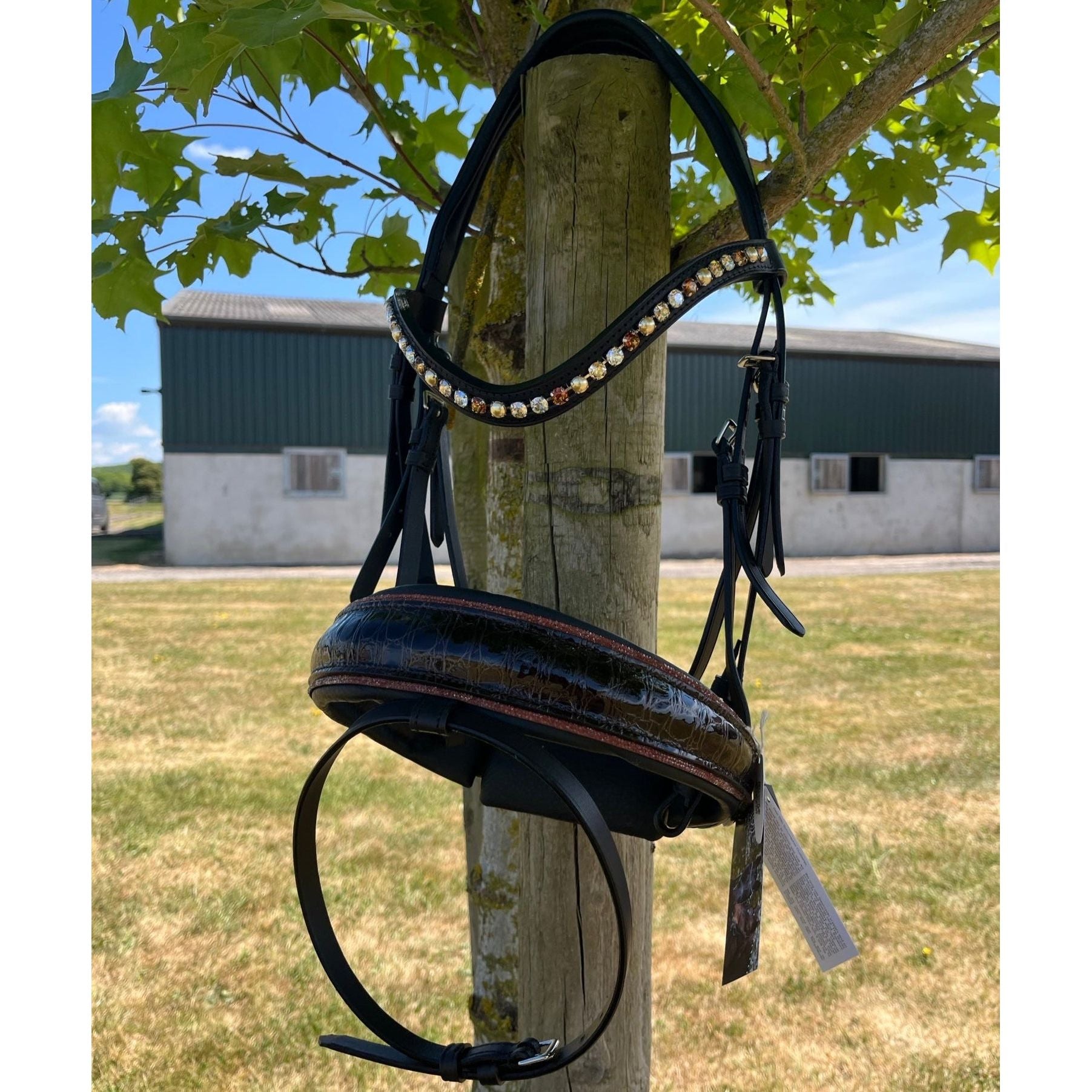 Otto Schumacher Elegant Snaffle Bridle K5 - In stock and ready to ship - Full