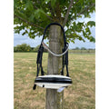 Otto Schumacher Comfort XS Double Bridle K15- In stock and ready to ship- Full