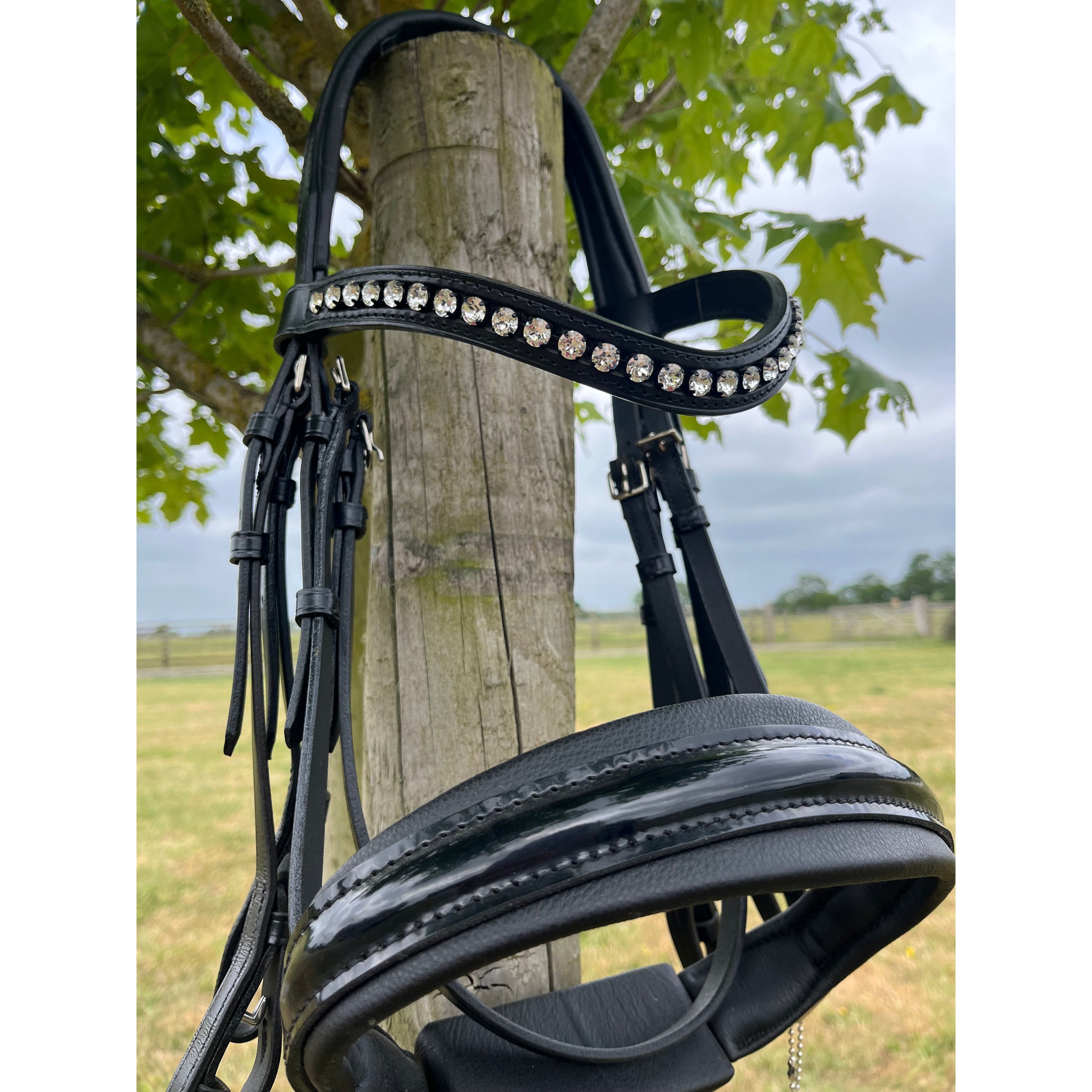 Otto Schumacher Black Line Double Bridle K20 - In stock and ready to ship - Cob