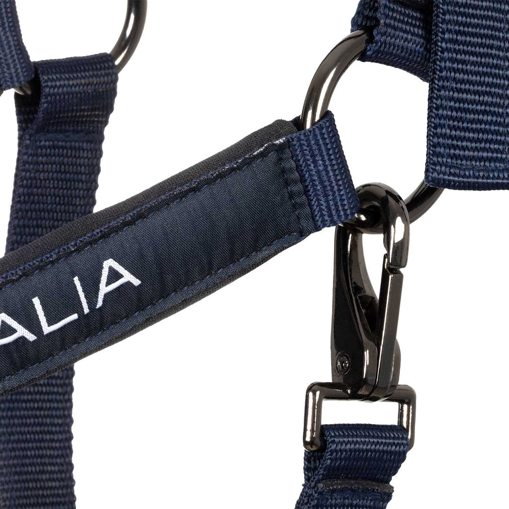 Padded halter double adjustment Equestro X FISE