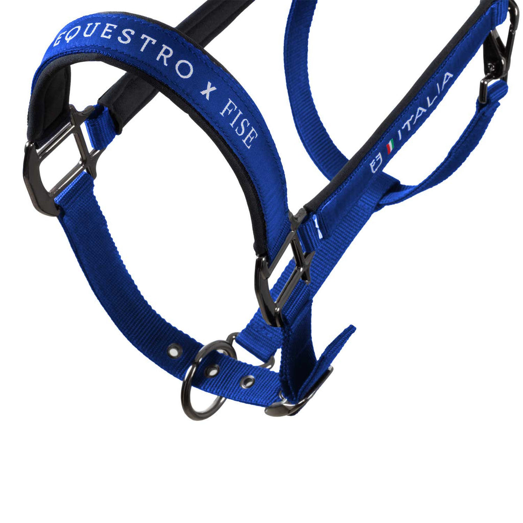 Padded halter double adjustment Equestro X FISE