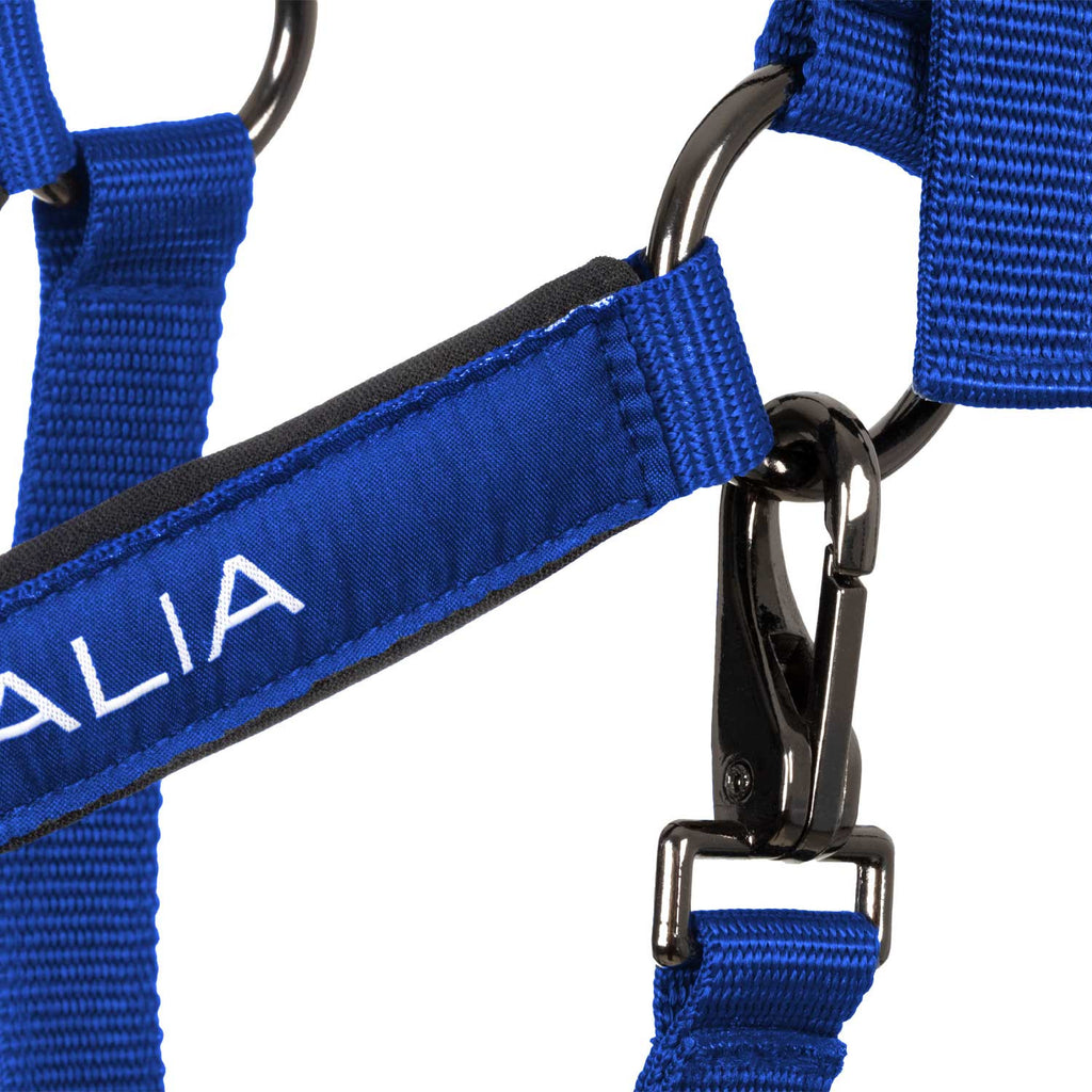 Padded halter double adjustment Equestro X FISE