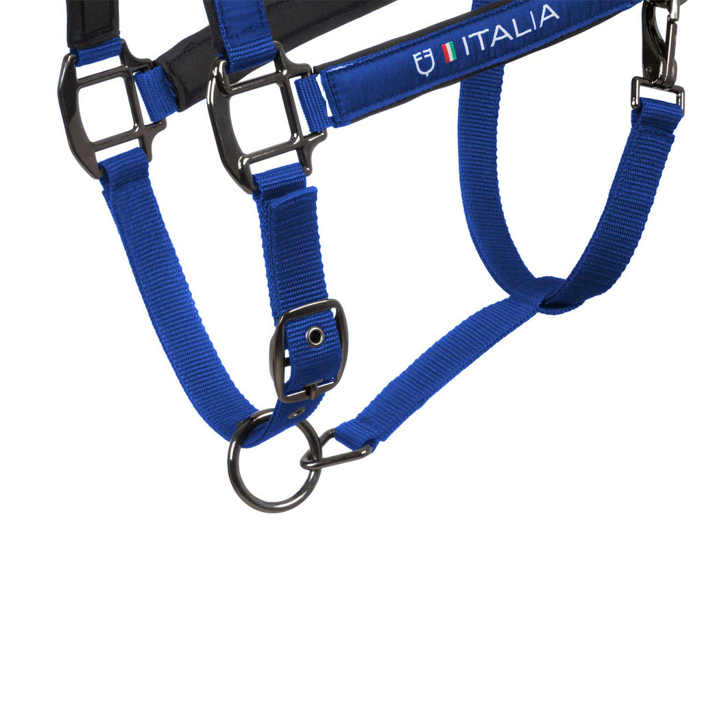 Padded halter double adjustment Equestro X FISE