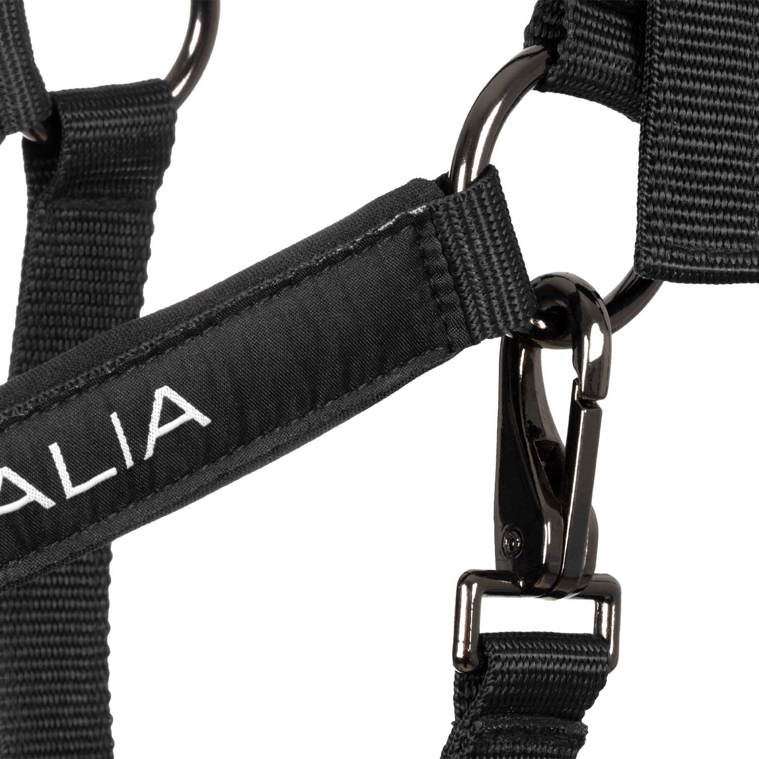 Padded halter double adjustment Equestro X FISE