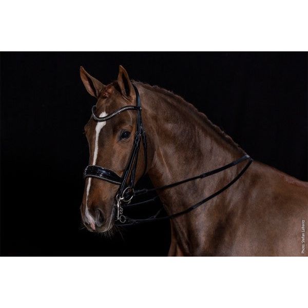 Schockemohle Milan Glam Double Bridle