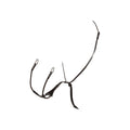 Tanned leather collier martingale