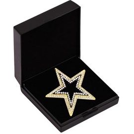 SD Design I'm a Star Stockpin