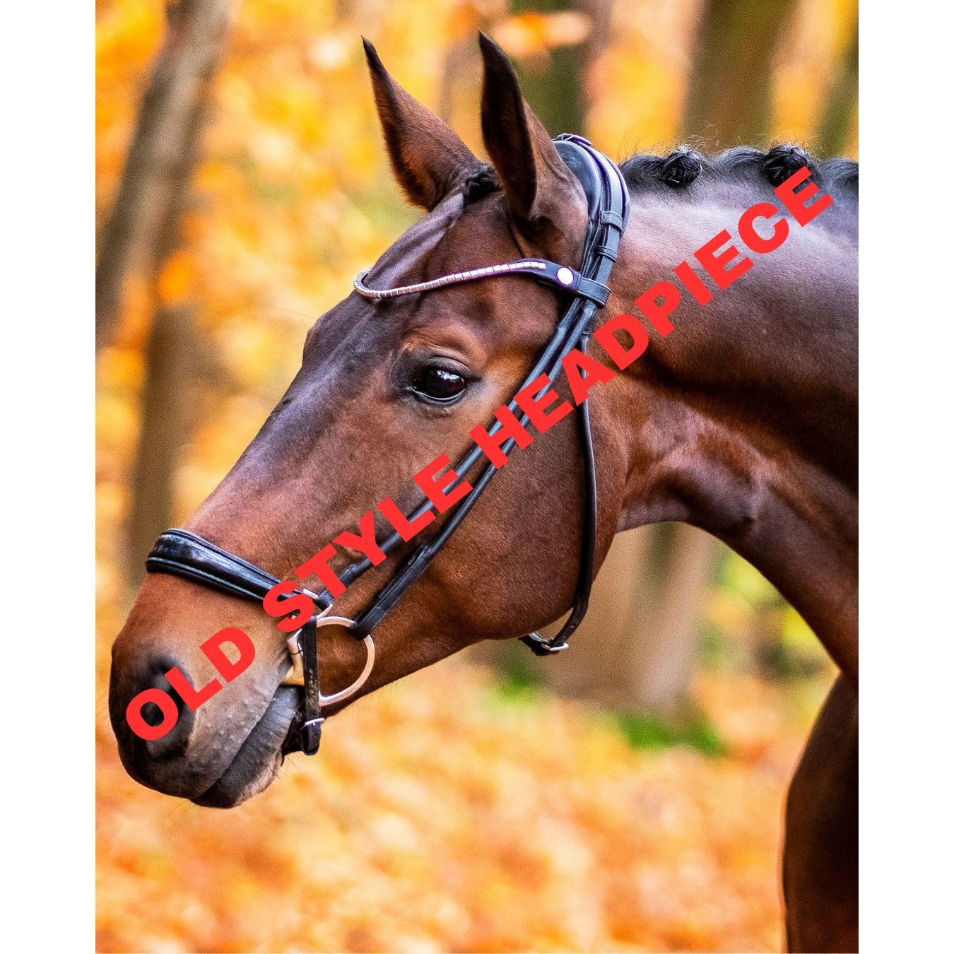 Finesse Spirit Drop Noseband Bridle