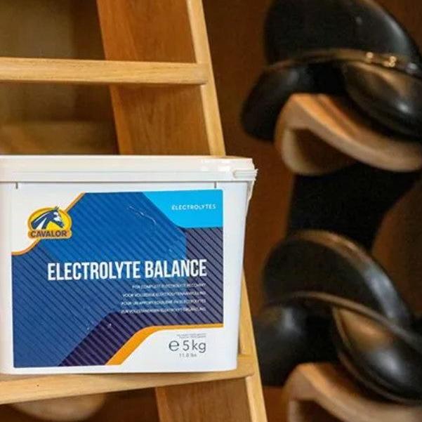 Cavalor Electrolyte Balance