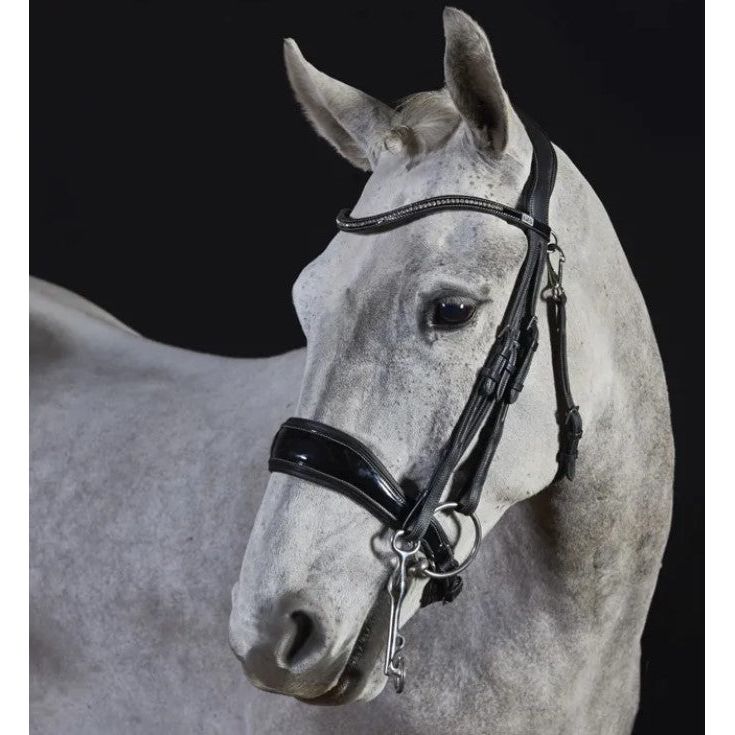 GFS Premier Avail Double Bridle - Cob