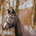 Finesse 1.0 Cassidy Snaffle Bridle with Cavesson Noseband