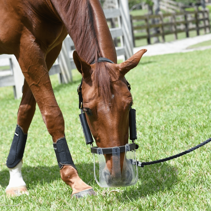 ThinLine Flexible Grazing Muzzle