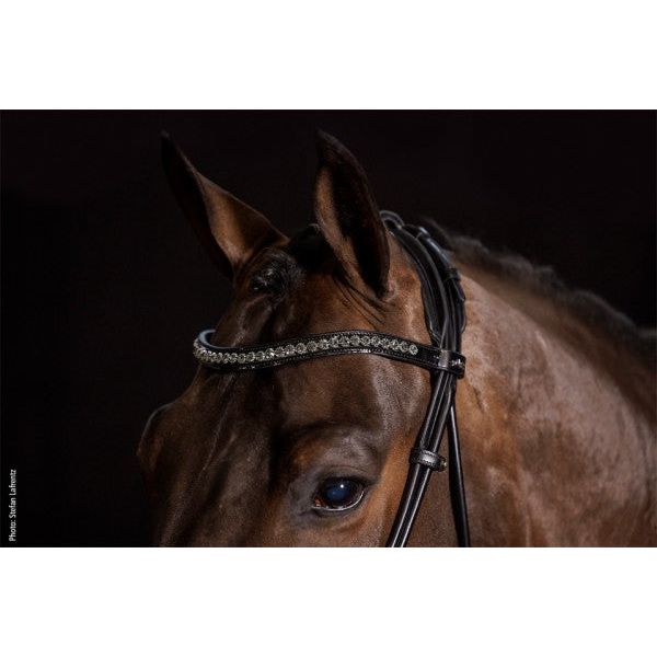 Schockemohle Westminster Bridle