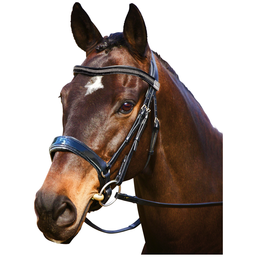 Fairfax Snaffle Bridle - Cavesson Black Patent