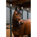 Eskadron Leather Elegance Headcollar