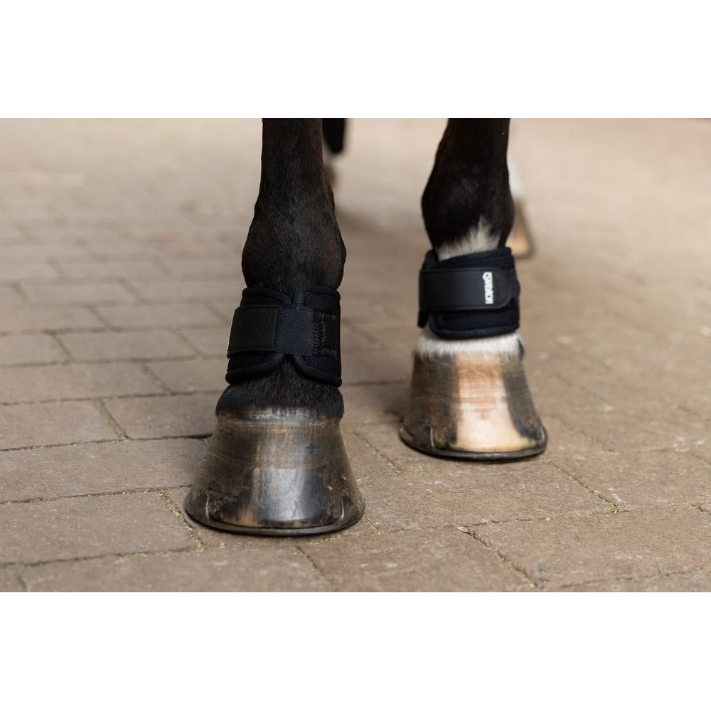 Eskadron Neo Pastern Wrap