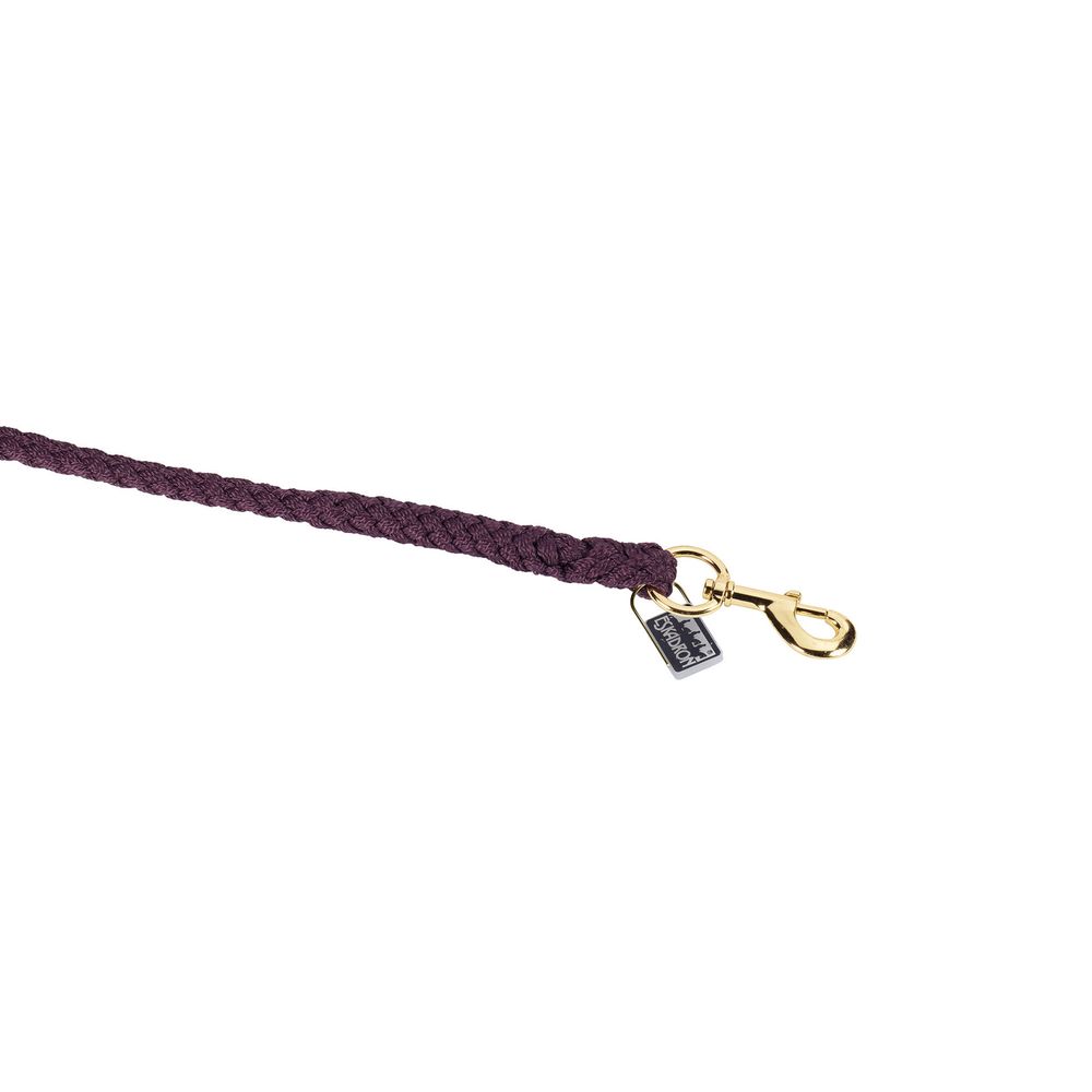 Eskadron Regular Swivel Brass 475100