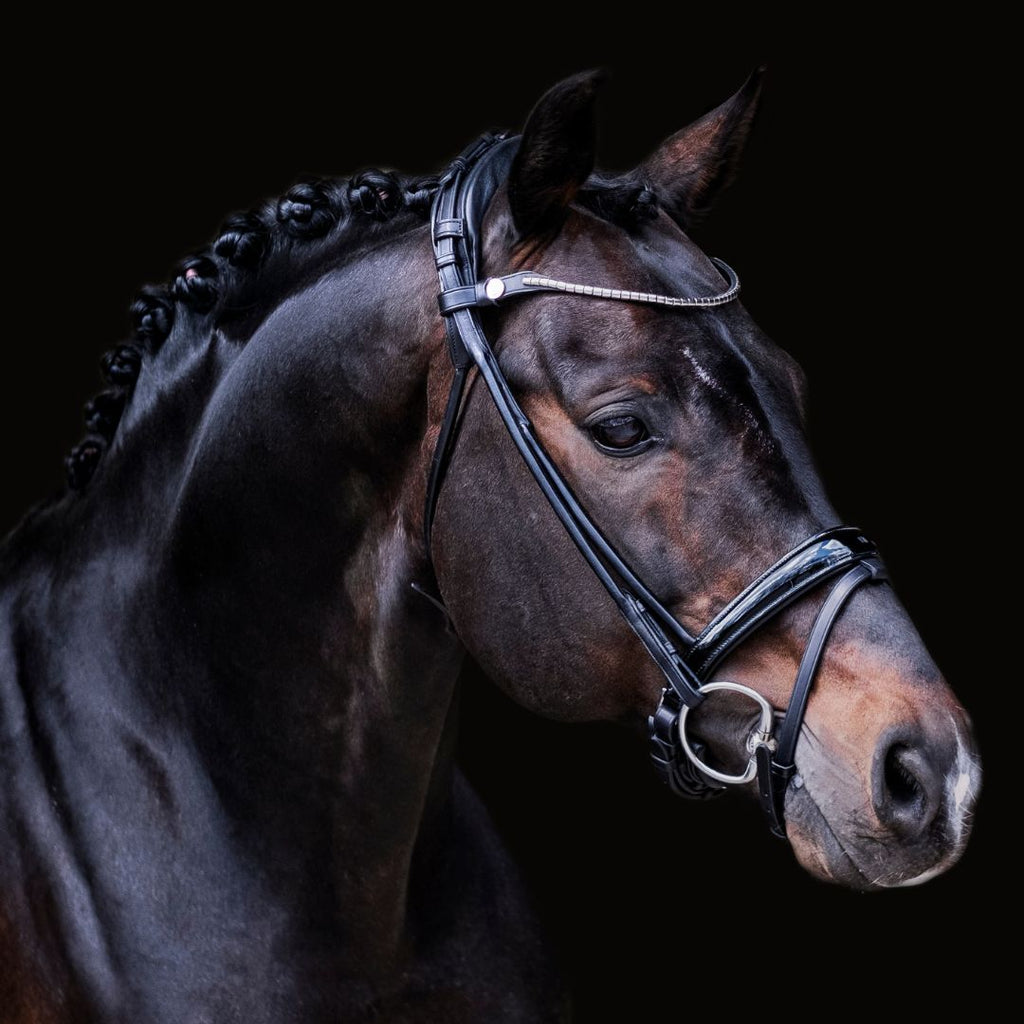 Finesse 2.0 Cassidy Snaffle Headpiece ONLY