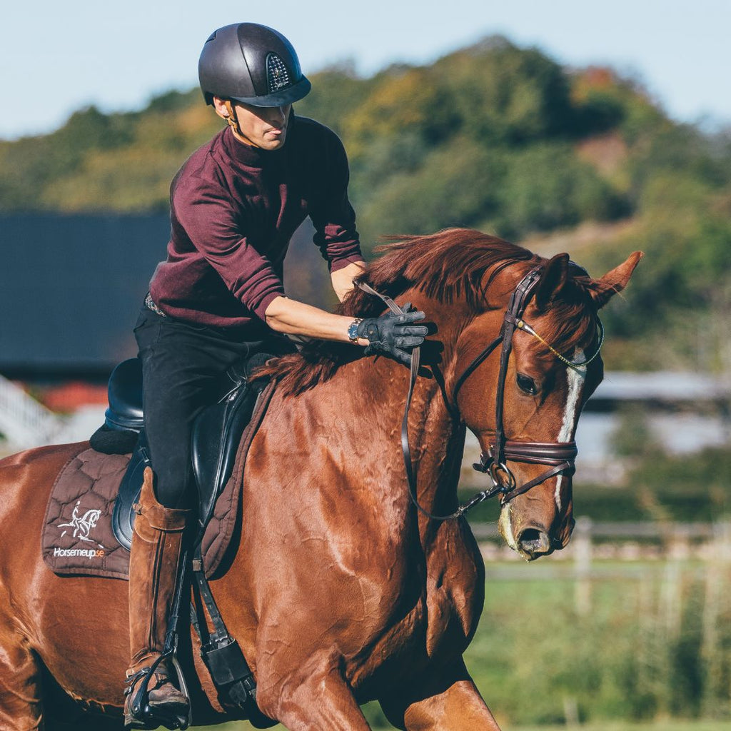 Finesse 2.0 Cayenne Snaffle Headpiece ONLY