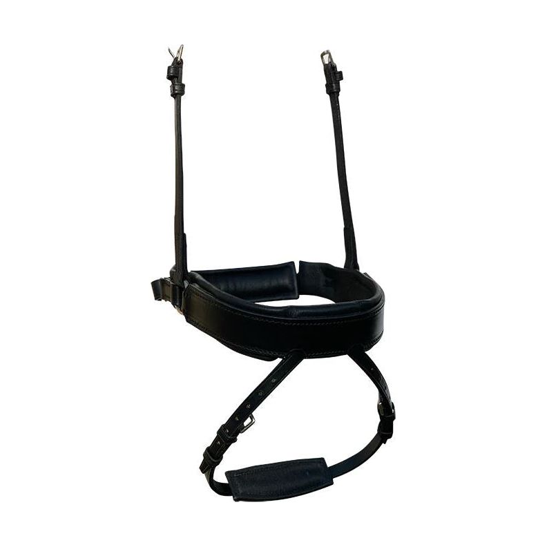 Fairfax Flash Noseband