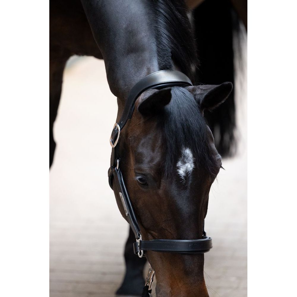 Eskadron Leather Stallion HeadCollar Black