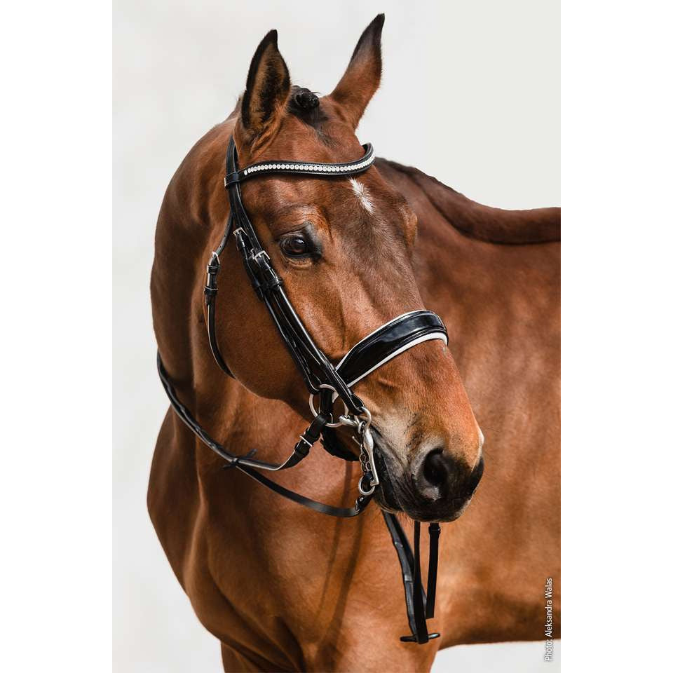 Schockemohle Venice Double Bridle - Black and White with Patent noseband