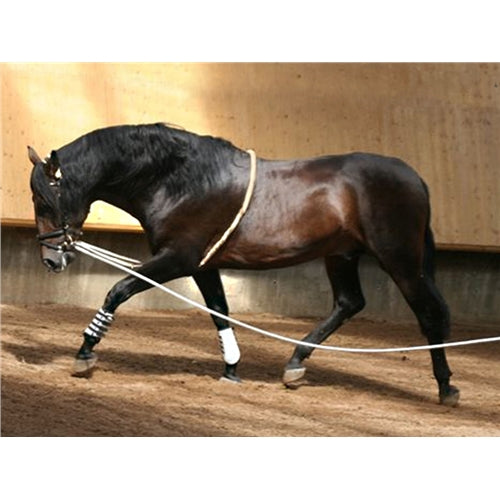 Classic Dressage Lunge Aid