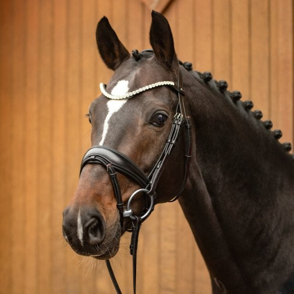 Passier NEW Favourite Snaffle Bridle - with rubber reins