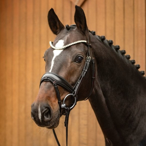 Passier Favourite Snaffle Bridle - with rubber reins