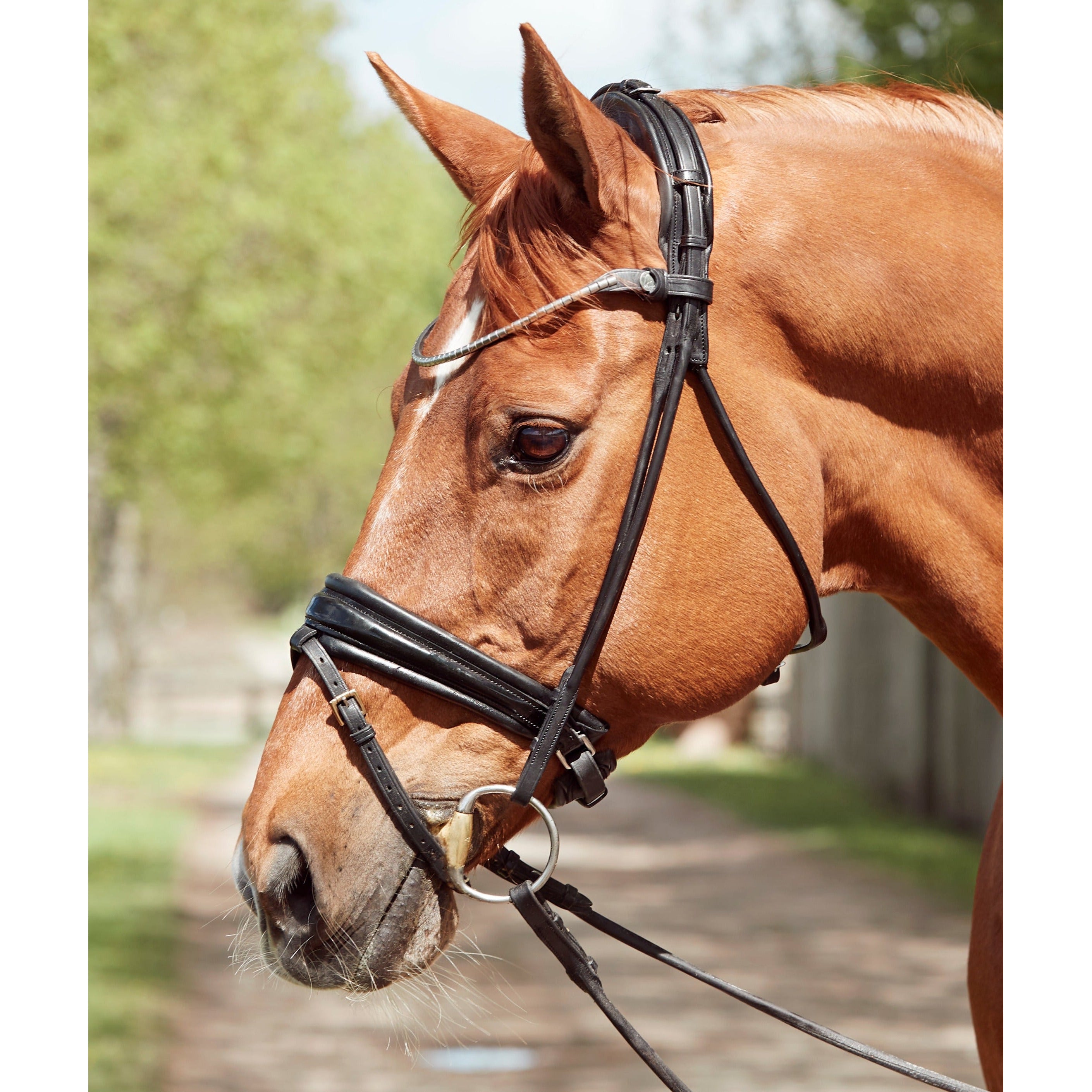 Finesse Cassidy Snaffle Bridle