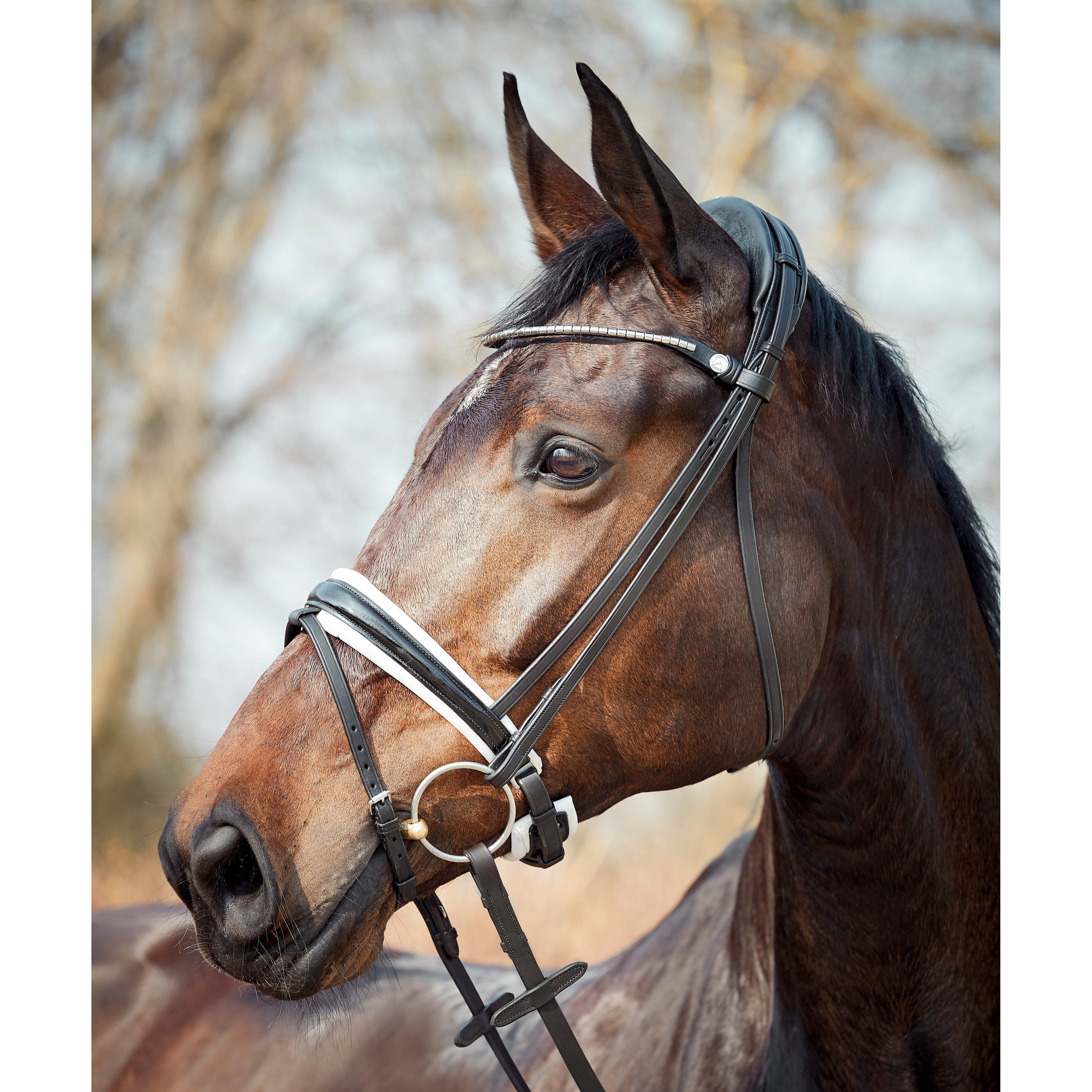 Finesse Cayenne Snaffle Bridle