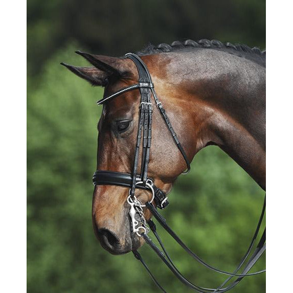 Passier Fortuna Double Bridle - Full Brown