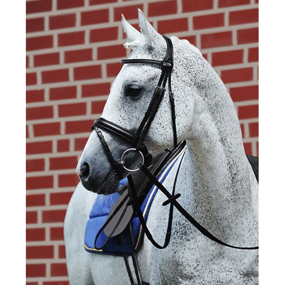 Passier Fortuna Bridle - with rubber reins