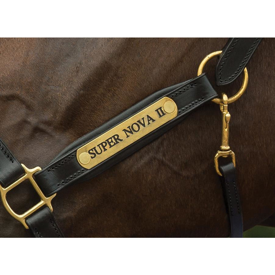 Fairfax Rio Leather Headcollar
